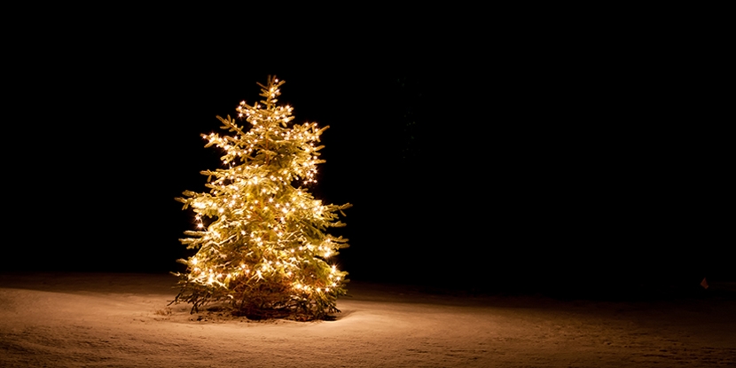 Love Light Tree Lighting Ceremony