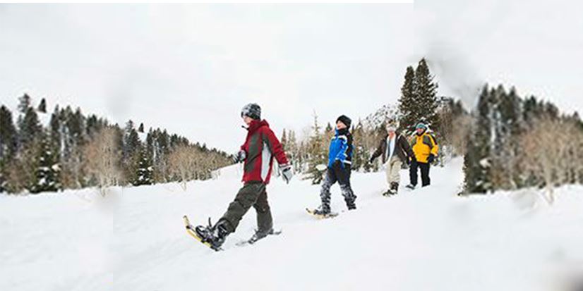 people skiing