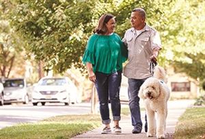 Two people walking a dog